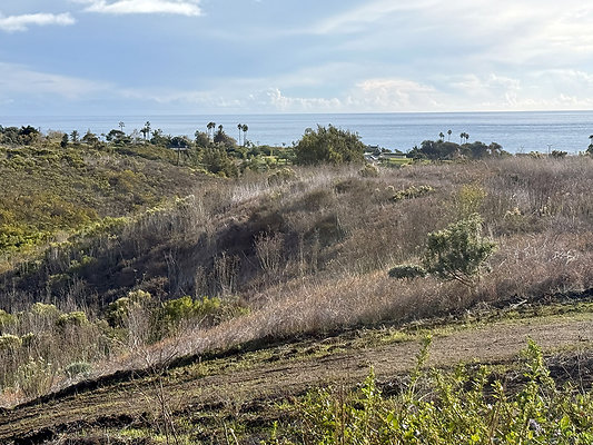 MMG - Nov 2025 - Path 08