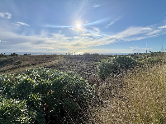 MMG - Nov 2025 - Path 09