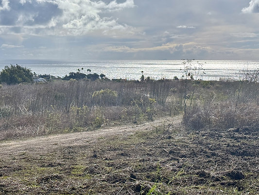 MMG - Nov 2025 - Path 03