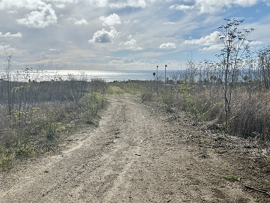 MMG - Nov 2025 - Path 04