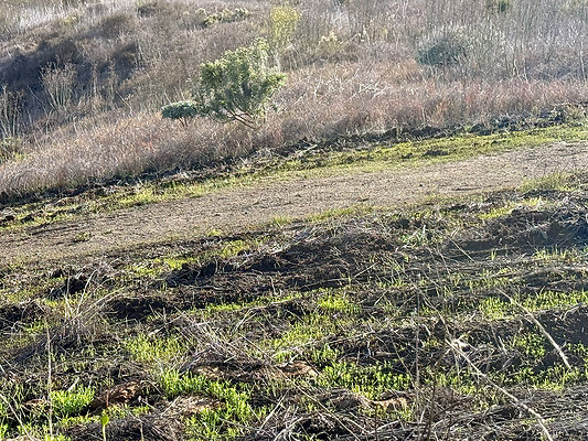 MMG - Nov 2025 - Path 10